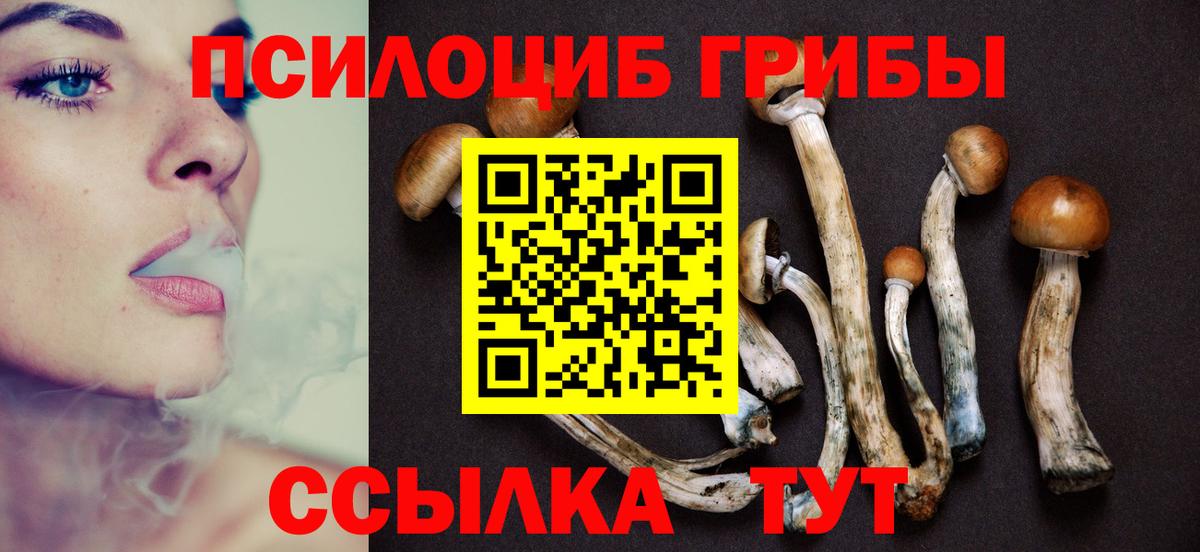 Псилоцибиновые грибы прущие грибы Острогожск